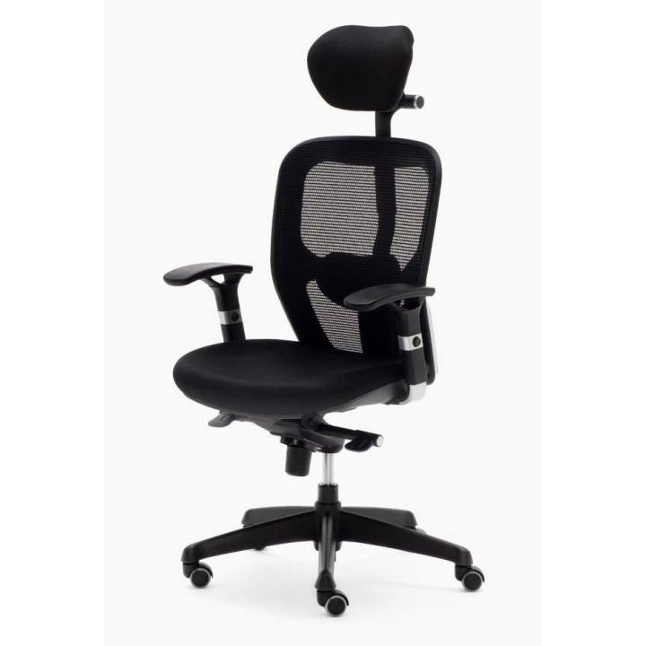 BOSTON Ergonomic Chair with Headrest - view 5