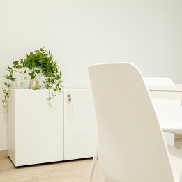 Buy Low Monocolor Wardrobe by OFITRES