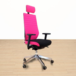 Buy HERPESA LC17 Executive Chair