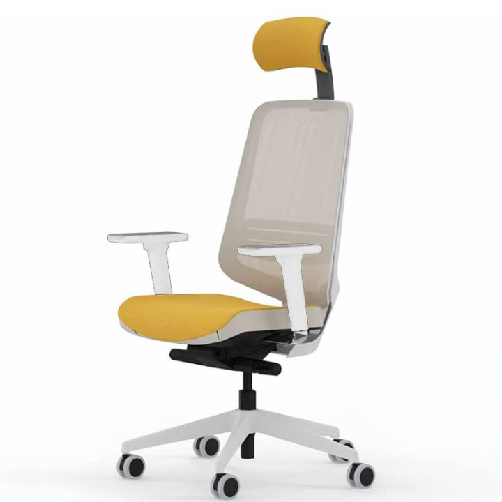 DOT.PRO Ergonomic Chair by FORMA 5