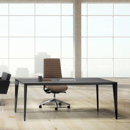HERPESA BETA Executive Desk