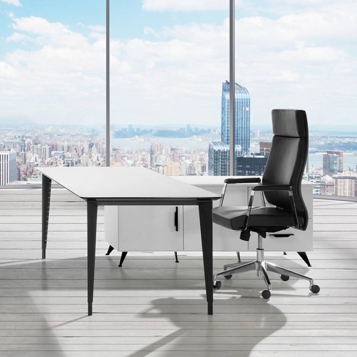 HERPESA BETA Executive Desk