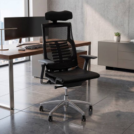 Comprar Silla de Dirección POFIT de HERPESA