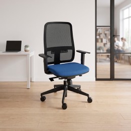 Buy BLAZE BLYTN ergonomic chair from Unisit.