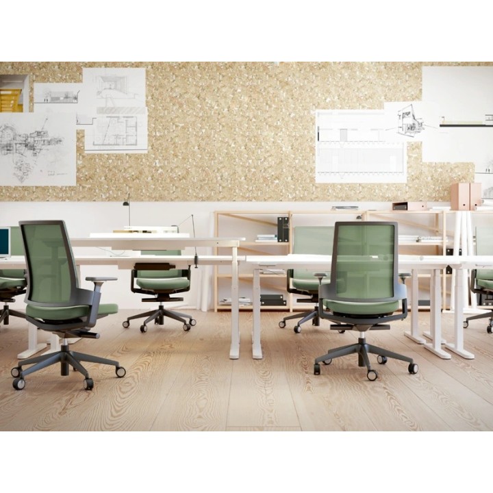FORMA 5 3.60 Ergonomic Office Chair