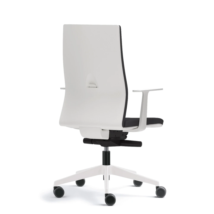 Rear view of the FORMA 5 TOUCH chair
