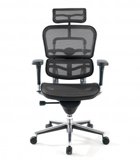 Cadeiras Ergonômicas