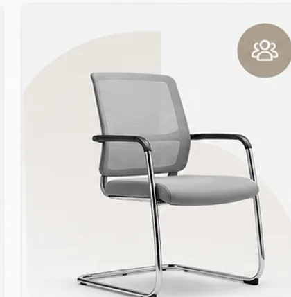 Professional visitor and meeting chair