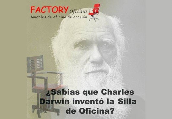 ¿Sabias que Charles Darwin inventó la silla de oficina?